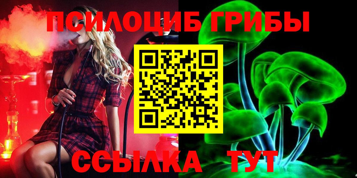 Псилоцибиновые грибы GOLDEN TEACHER Воткинск